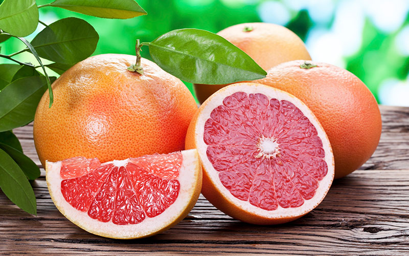 GARDEN CENTER CAPE CORAL AND LANDSCAPERS