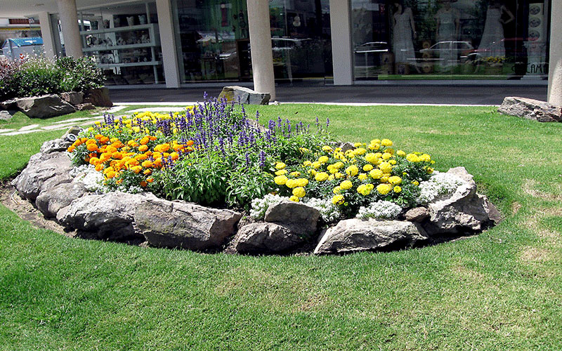 GARDEN CENTER CAPE CORAL and LANDSCAPERS