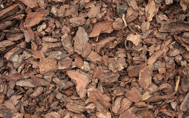 GARDEN CENTER CAPE CORAL and LANDSCAPERS